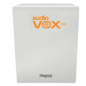 Amplificador de Audio de 100W HAGROY